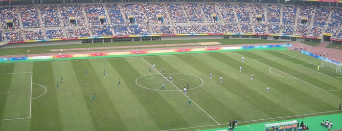 Tianjin Olympic Center Stadium is one of Soccer Stadium.