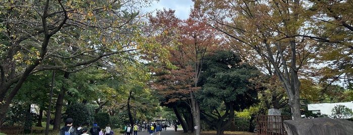 平塚市総合公園 is one of Orte, die Yuzuki gefallen.