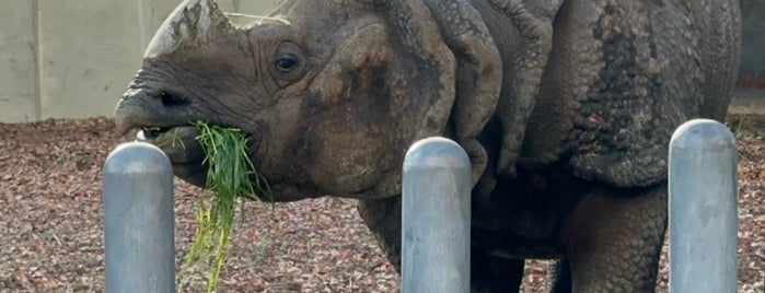 東山動物園 インドサイ舎 is one of 東山動植物園.