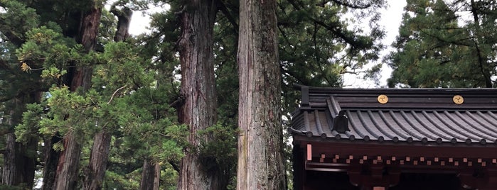 二荒山神社 夫婦杉 is one of World Heritage.