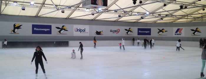 Axel - pista di pattinaggio su ghiaccio is one of italy.