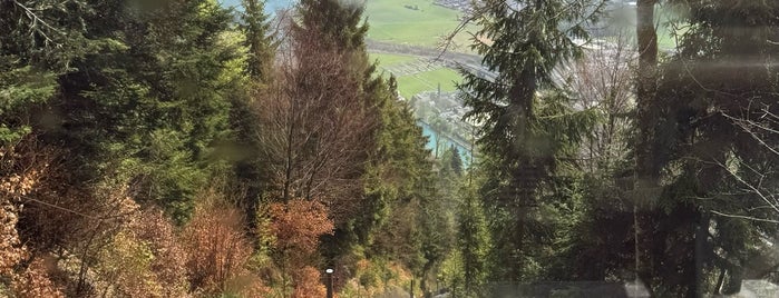 Harder Kulm is one of Interlaken.