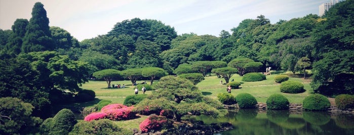 Shinjuku Gyoen is one of VSandra : понравившиеся места.