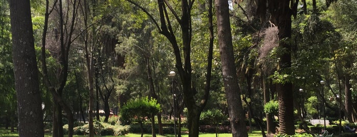 Jardín Ramón López Velarde is one of David’s Liked Places.