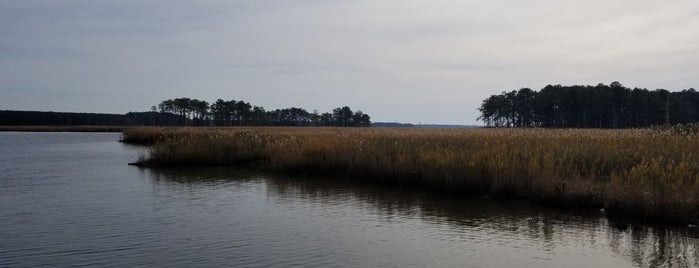 Chesapeake Bay Environmental Center (CBEC) is one of DC and Virginia 2023.