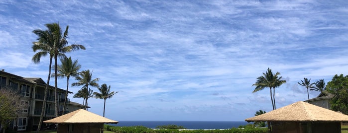 The Westin Princeville Ocean Resort Villas is one of Kauai To-Do's.