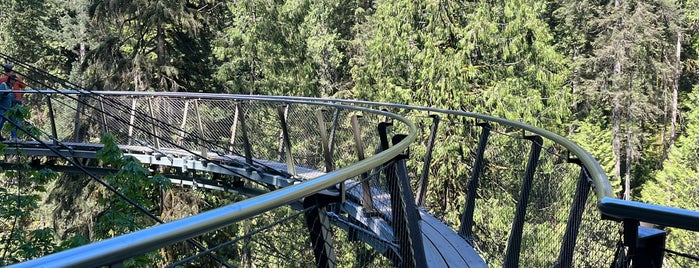 Capilano Cliffwalk is one of Canada.