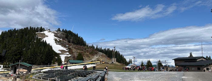 Grouse Mountain is one of Vanvouver.