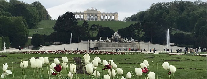 Schlosspark Schönbrunn is one of Tempat yang Disukai Tanya.