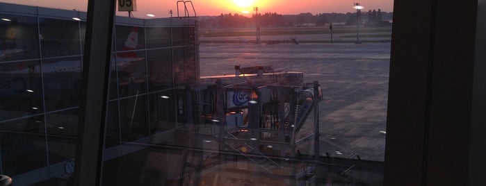 Boryspil International Airport (KBP) is one of Tanya’s Liked Places.