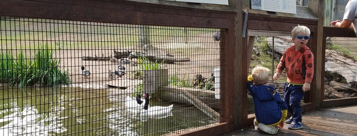 Puente al Sur is one of San Francisco Zoo Exhibits.