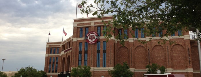 Olsen Field at Blue Bell Park is one of College Station.