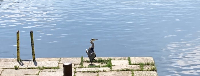 Kettwiger Stausee is one of Flora & Fauna.