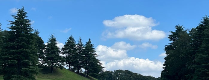 Tokyo Kokusai Golf Club is one of Top picks for Golf Courses.