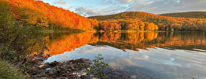 Alder Lake is one of The Catskills.