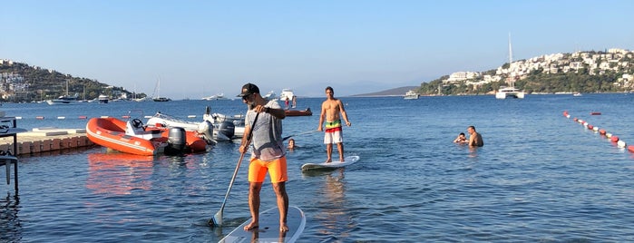 Sail Loft Surf Shack is one of AS'ın Beğendiği Mekanlar.