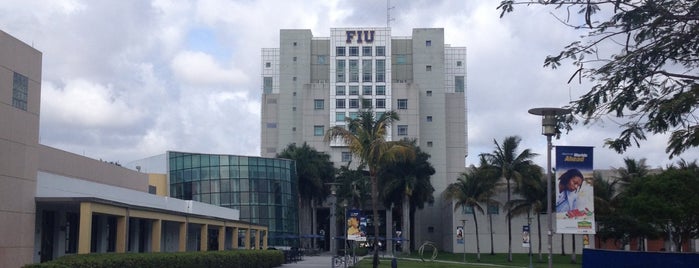 Steve and Dorothea Green Library (GL) is one of FIU Spots.