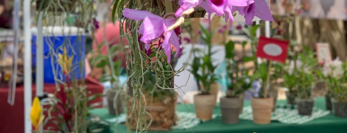 Pinecrest Gardens Green Market is one of PLACES.