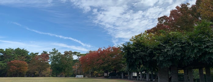 Mineyama Park is one of Koji : понравившиеся места.