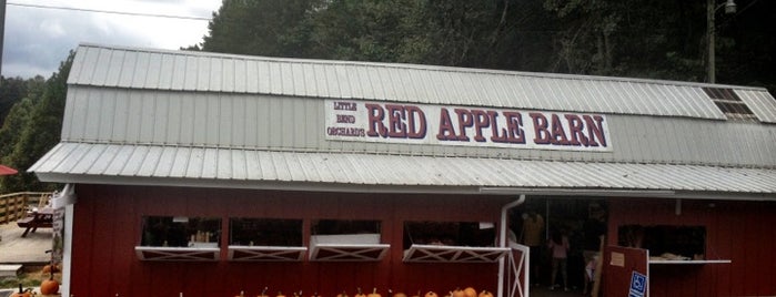 Georgia Farms