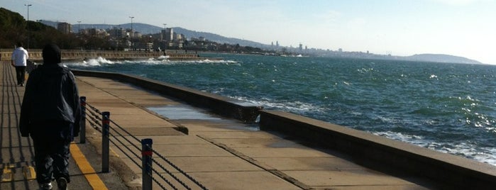 Caddebostan Parkı is one of Istanbul.