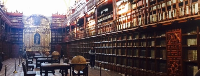 Biblioteca Palafoxiana is one of Visita Puebla.