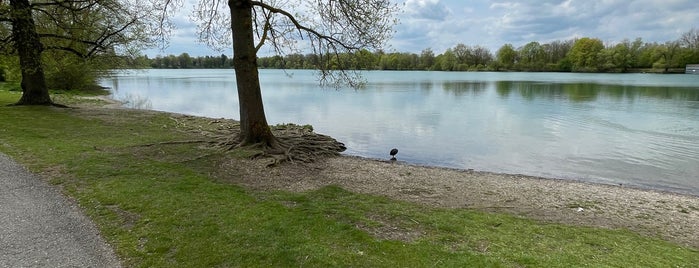 Fasaneriesee is one of Ausflüge.