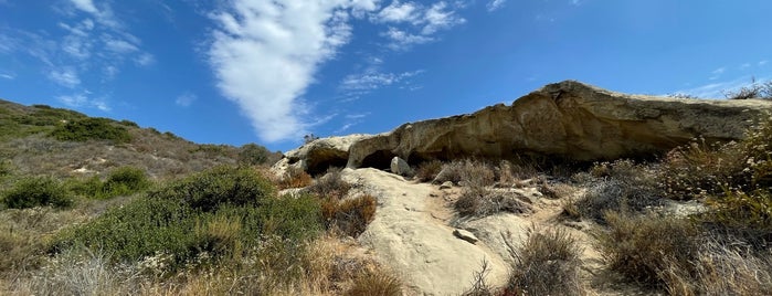 Aliso & Wood Canyons Wilderness Park is one of Things to do!.