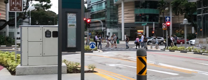 Bus Stop 04019 (Manulife Ctr) is one of Singapur #2 🌴.