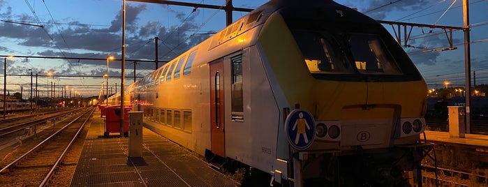 Bundel Antwerpen-Schijnpoort is one of trains.