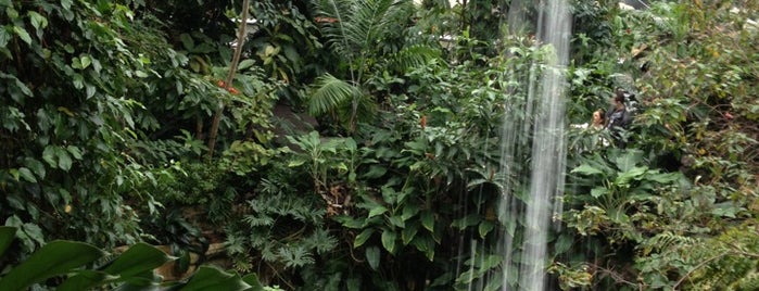 Cockrell Butterfly Center is one of The 15 Best Museums in Houston.