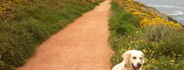 Paseo Canino de la Torre is one of sitios para llevar perros.