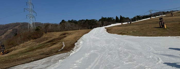 Takasu Snow Park is one of Winter❄️.