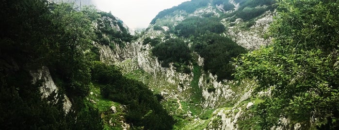 Nacionalni park Durmitor is one of Veronika'nın Beğendiği Mekanlar.