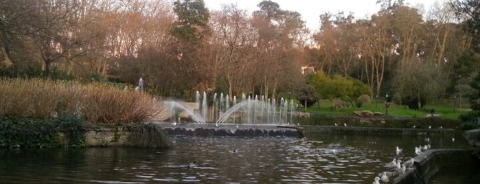Parque de Castrelos is one of สถานที่ที่บันทึกไว้ของ Riey.