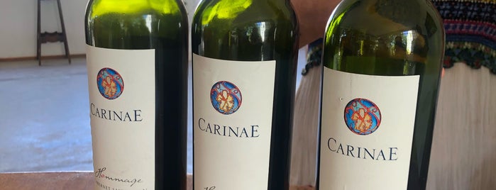 CarinaE Viñedos & Bodega is one of Mendoza Wineries.