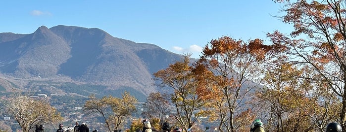 富士見台 is one of 横浜周辺のハイキングコース.