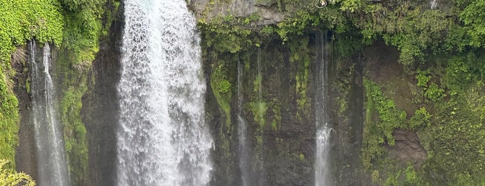 Otodome Falls is one of Traveller Log - Asia.