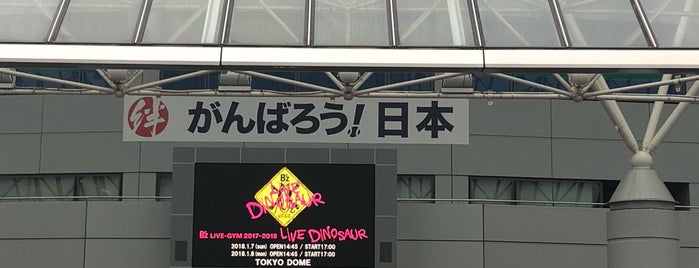 Tokyo Dome is one of Tokyo.