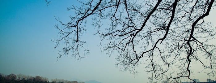 Xuanwu Lake Park is one of Nanjing.