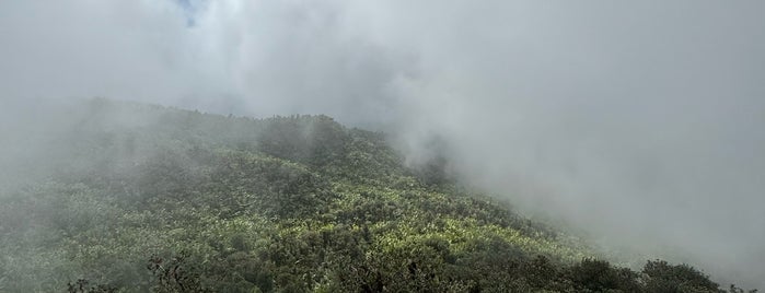 Pico El Yunque is one of Amerika.