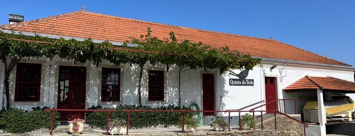 Quinta do Tedo is one of Duoro Valley.