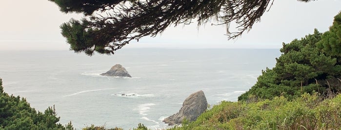 Port Orford Heads is one of Savannahさんのお気に入りスポット.