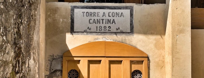 Villa di Torre a Cona is one of Locais curtidos por andtrap.