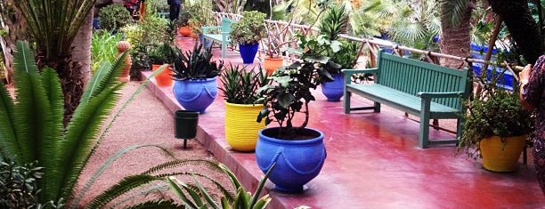 Majorelle Gardens is one of CBM in Morocco.