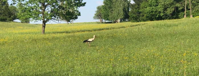 szalafő erdő is one of Őrség Április 30-Május 1.