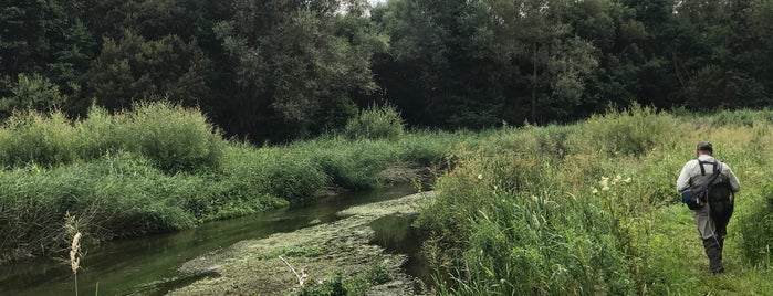 avon fishing spot is one of London, October 2019.