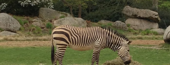 Jardin Zoologique de la Tête d'Or is one of Briceさんのお気に入りスポット.