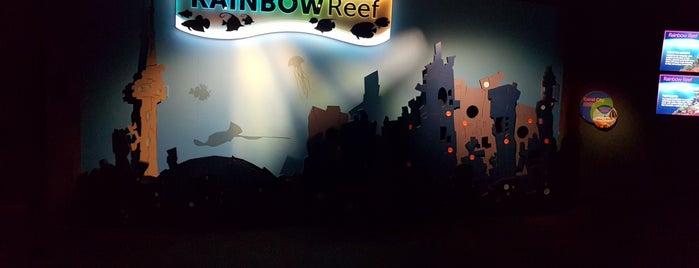 Rainbow Reef is one of Lieux qui ont plu à Christoph.