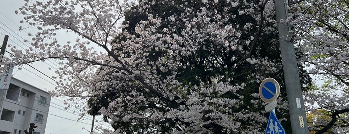 原崎公園 is one of 刈谷周辺.